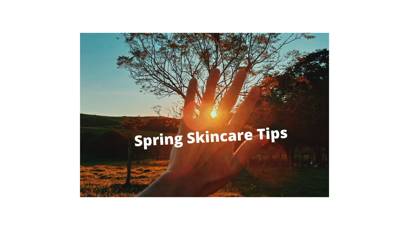 Spring Skincare 101